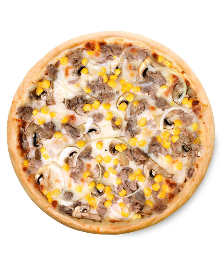 TON BALIKLI PİZZA